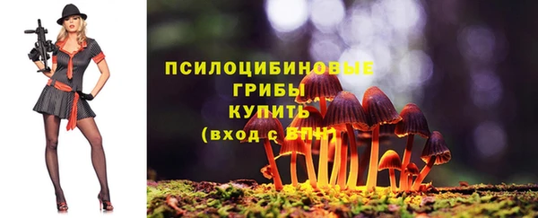 ПСИЛОЦИБИНОВЫЕ ГРИБЫ Дмитровск