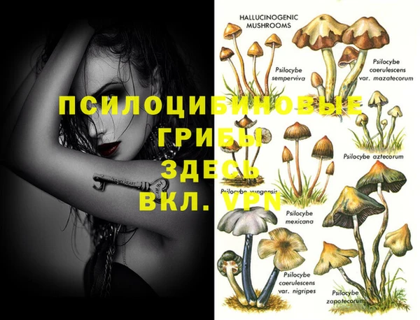 ешки Гусь-Хрустальный