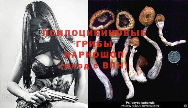 ECSTASY Гусев