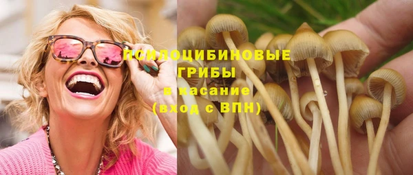 ECSTASY Гусев